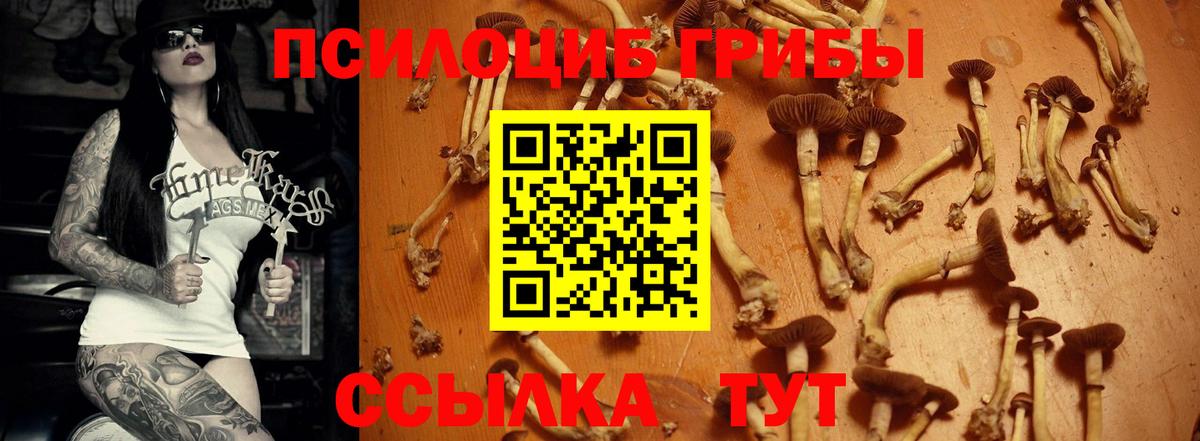Галлюциногенные грибы MAGIC MUSHROOMS Ступино